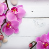 фотопечать орхидея
